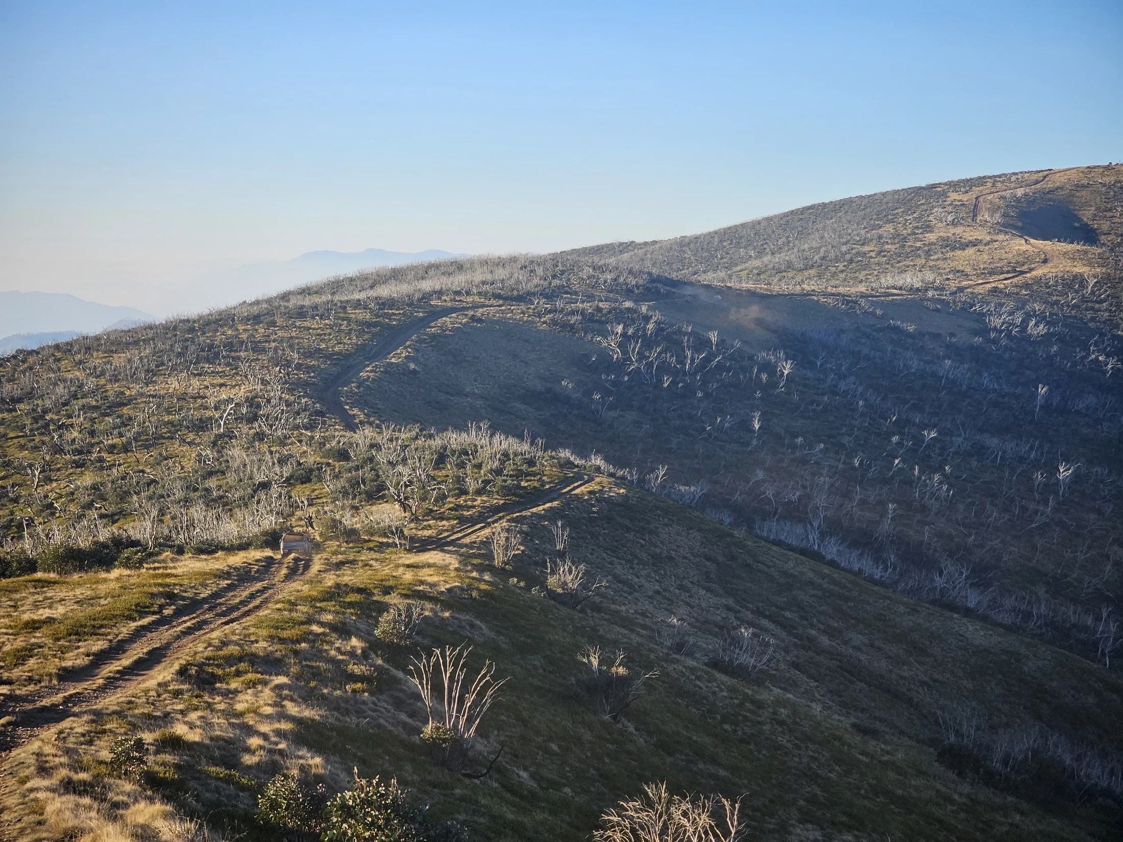 Wellington Electrical Services